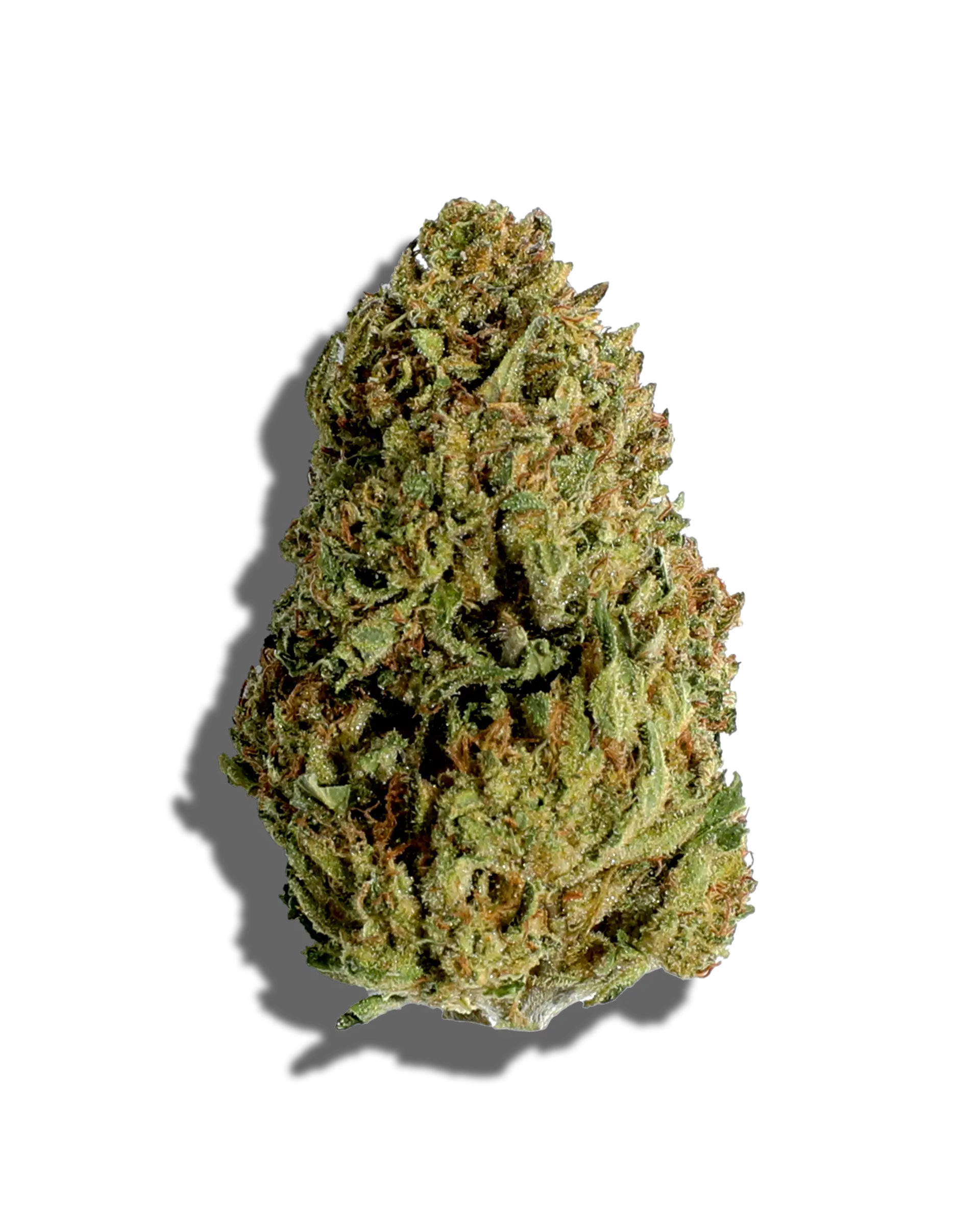 White Tahoe Cookies THCa Flower
