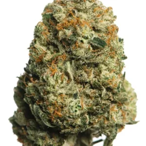 Horchata Mini's Thca Flower